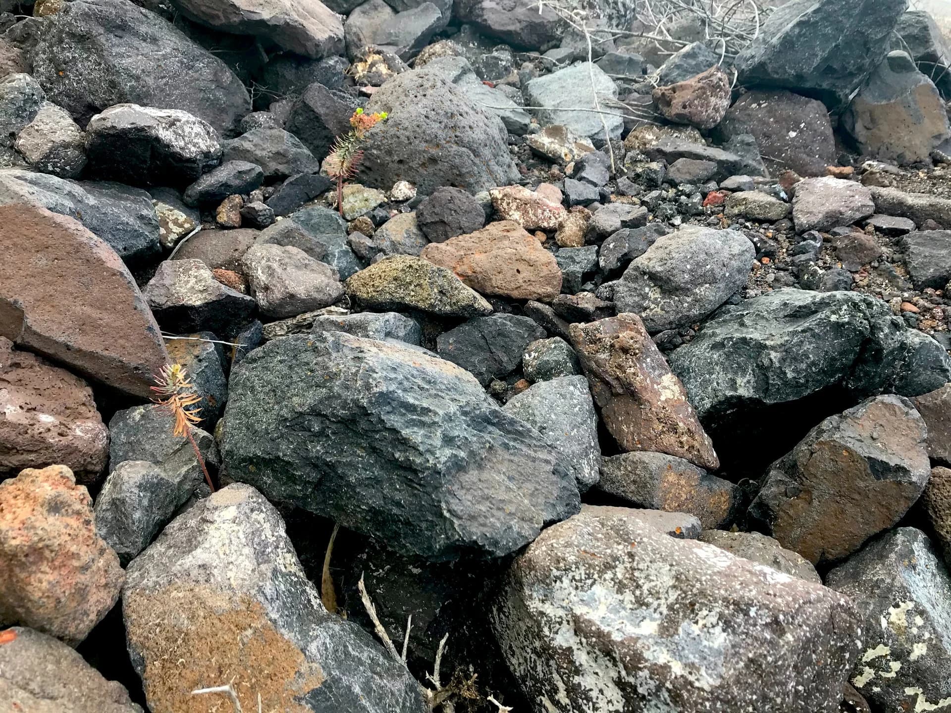 Stones and Debris