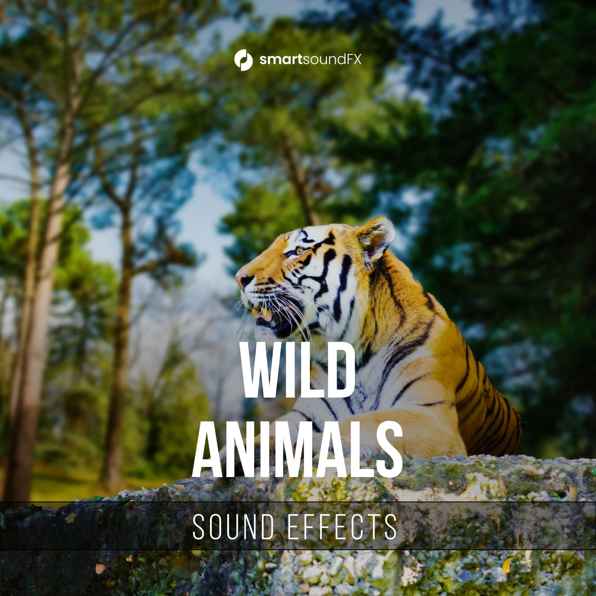 Wild Animals