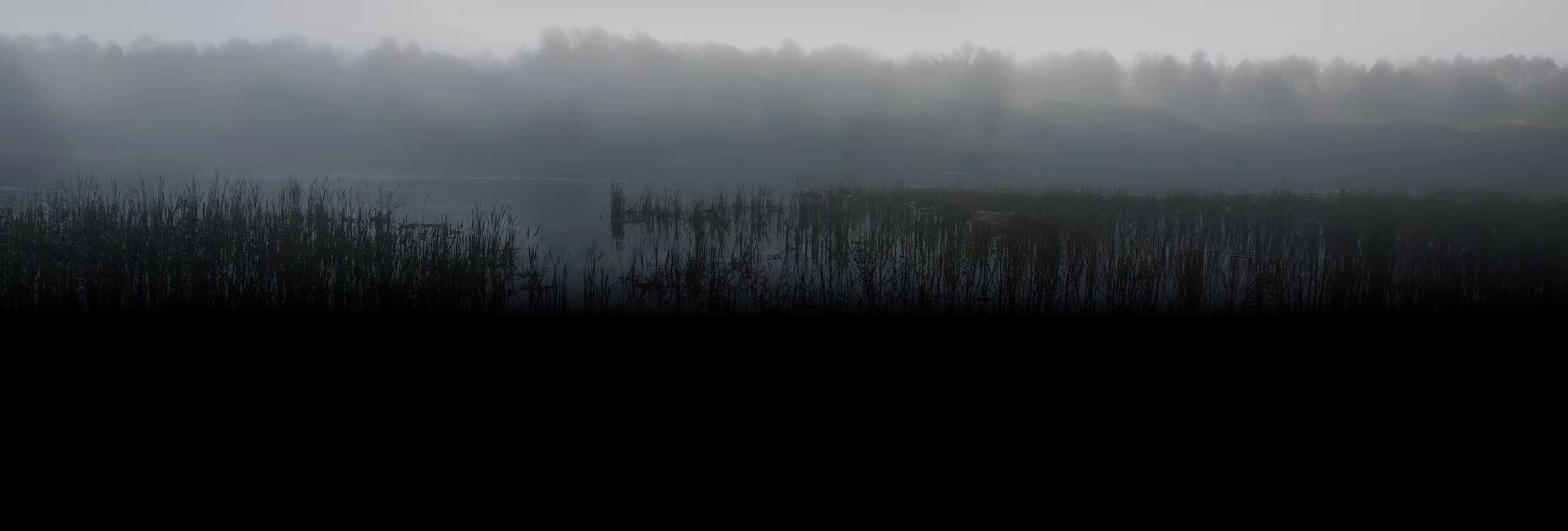 Swamps