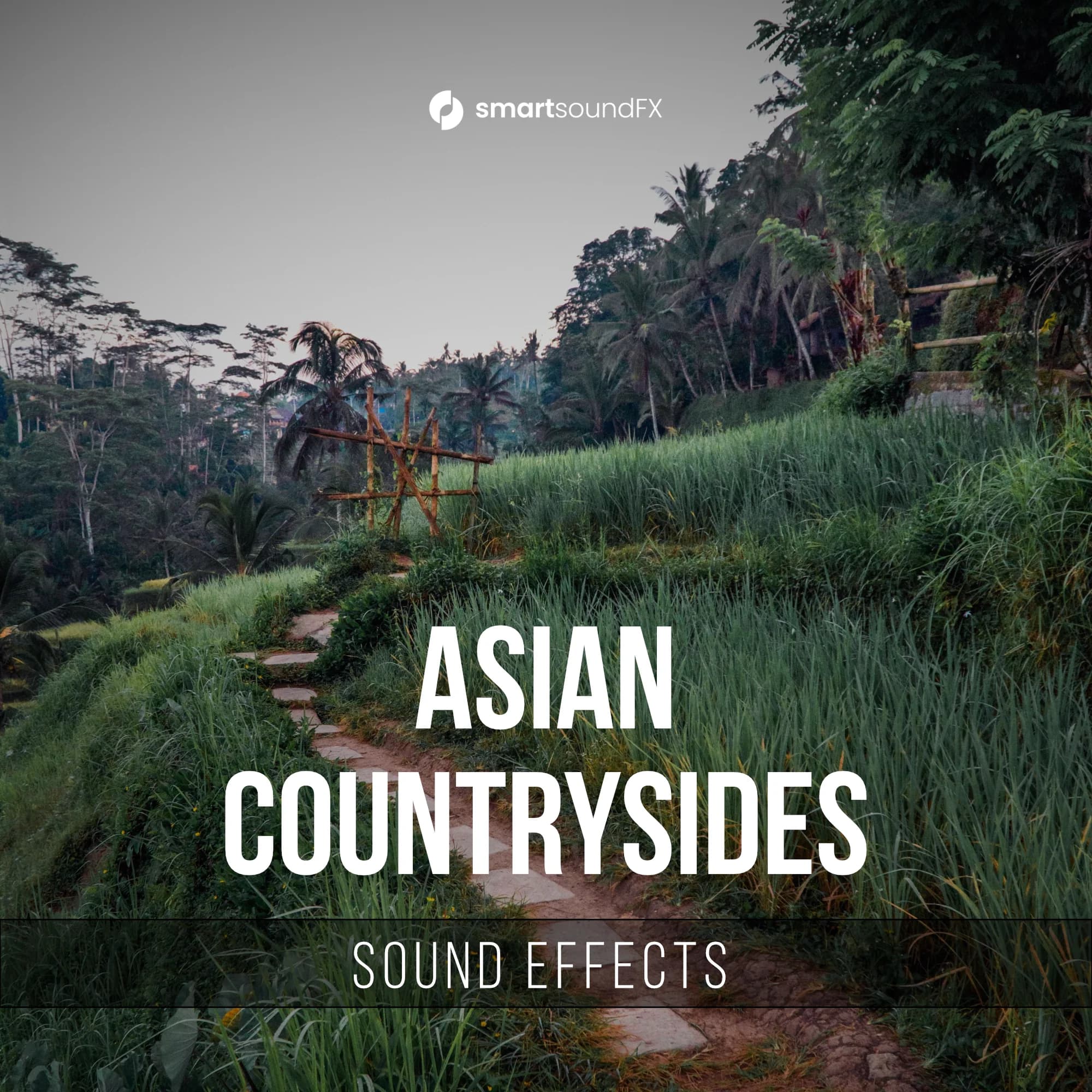 Asian Countrysides