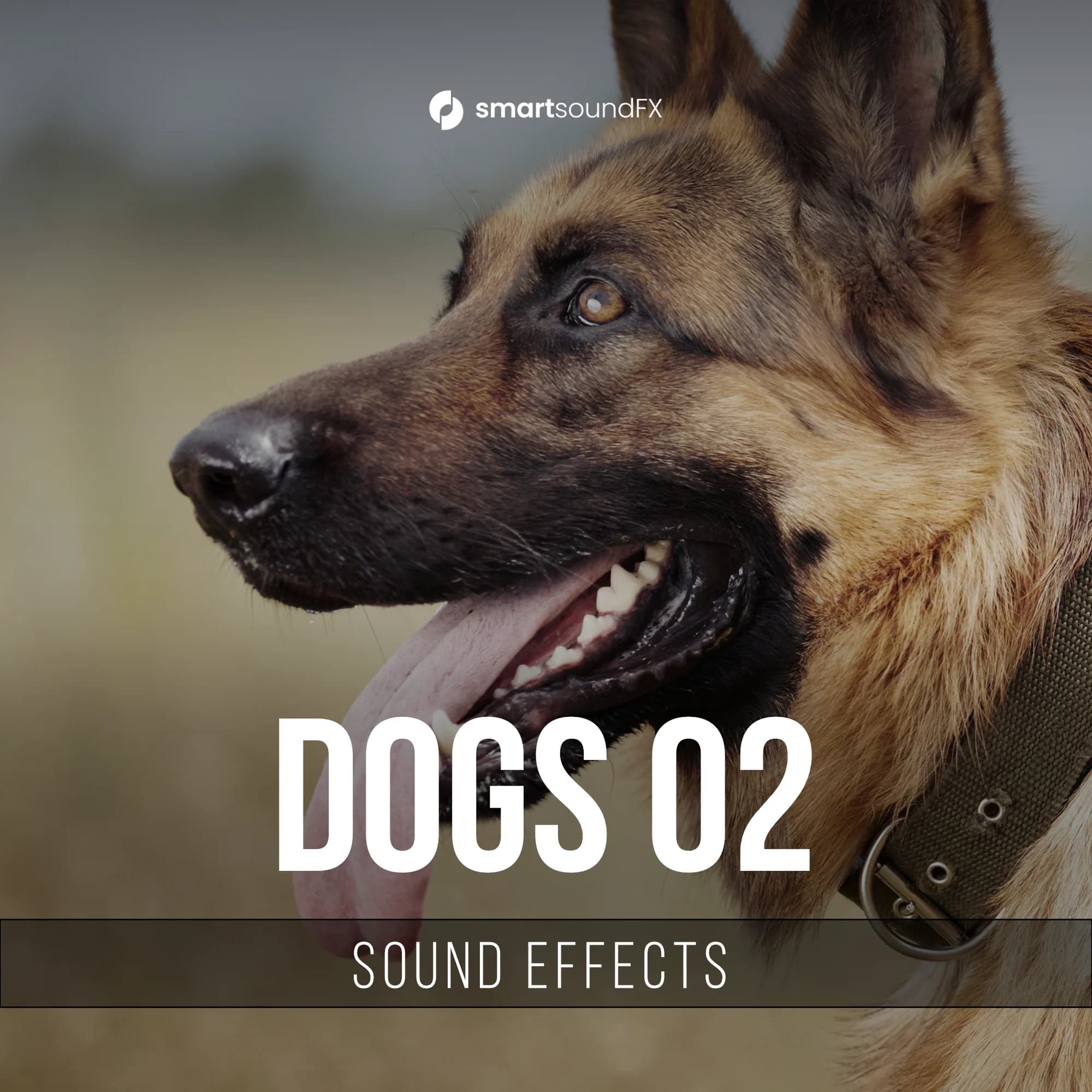 Dogs 02
