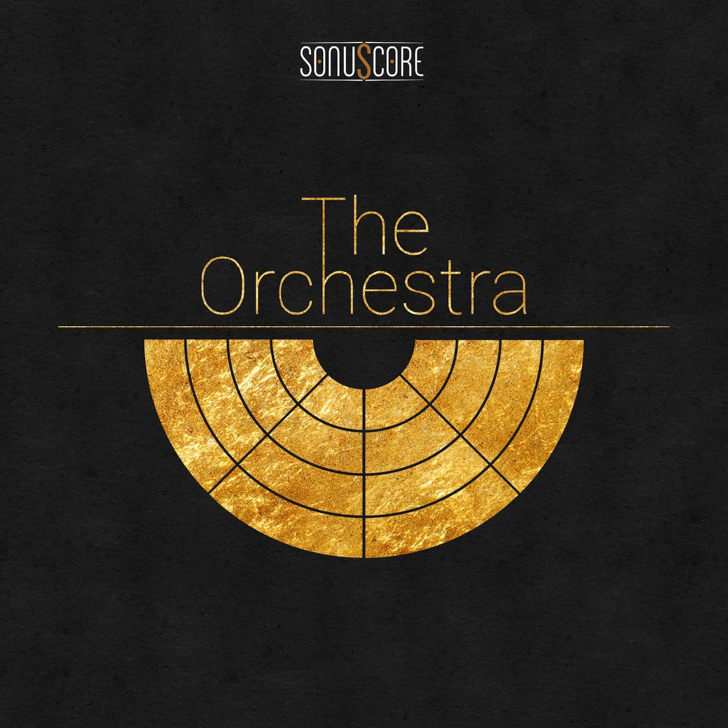 The Orchestra