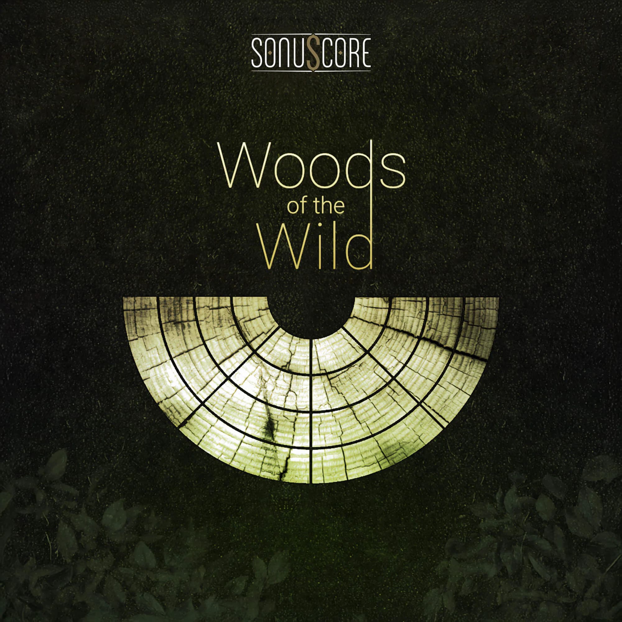 The Orchestra - Woods of the Wild