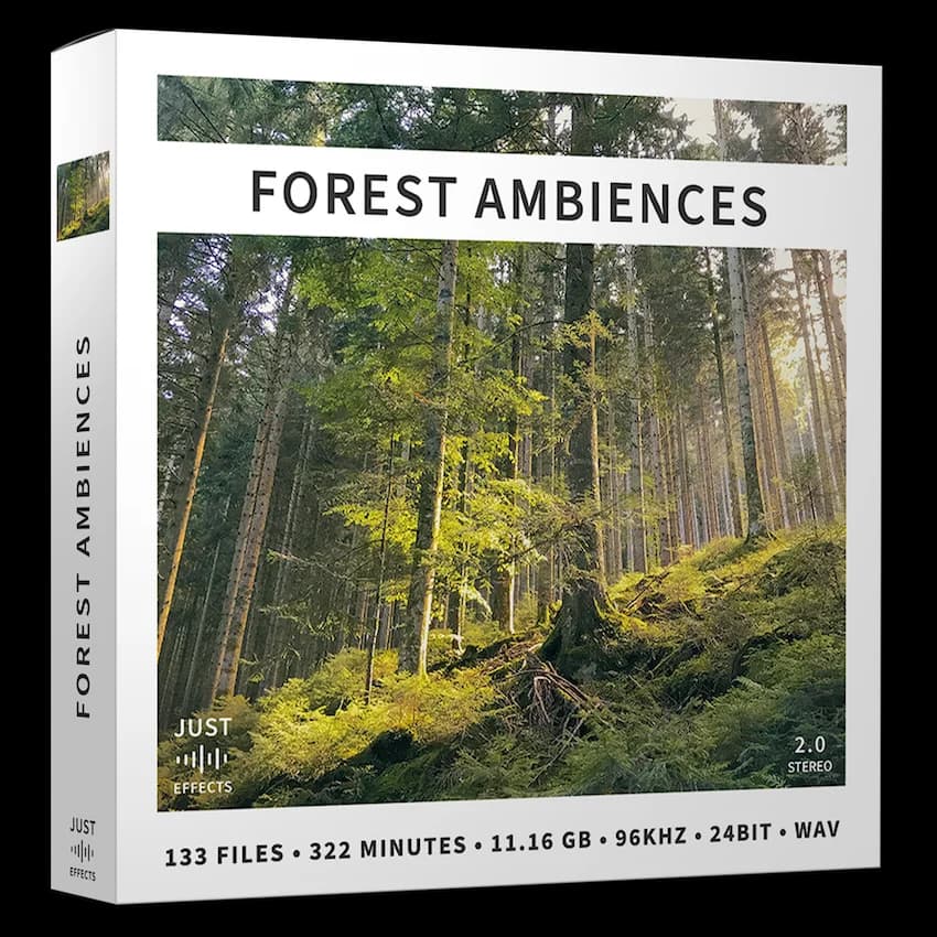 Forest Ambiences