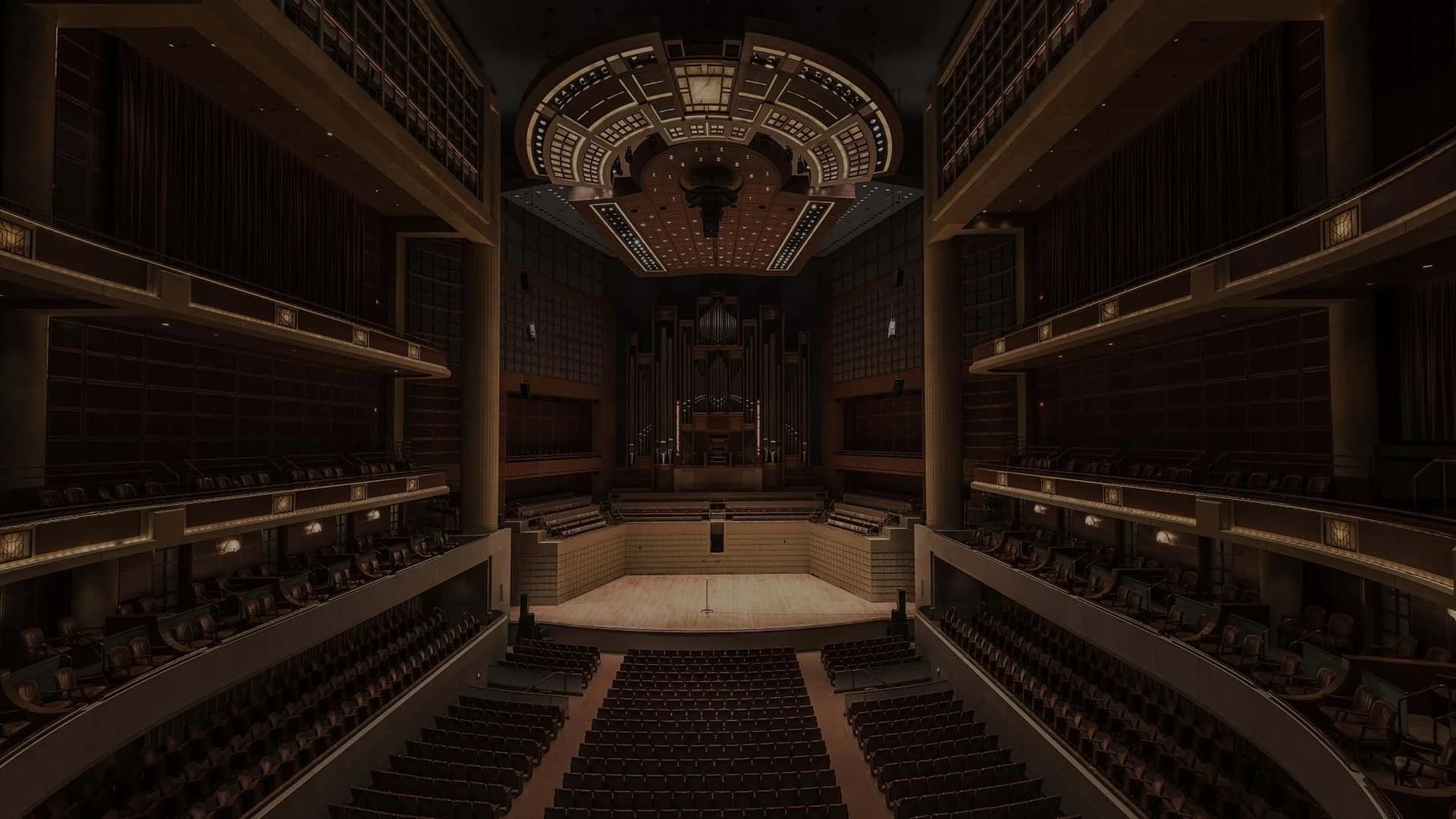The Orchestra