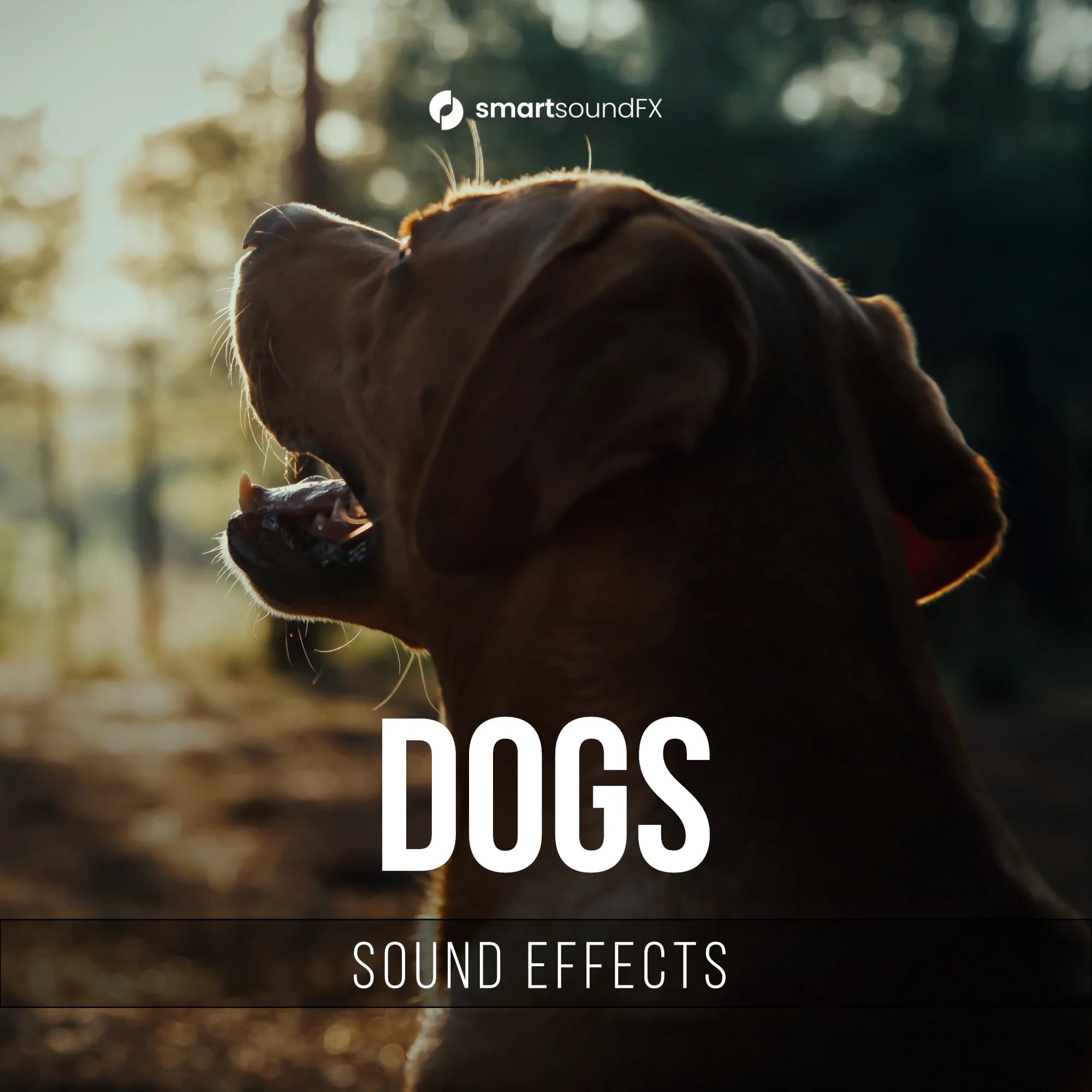 Dogs