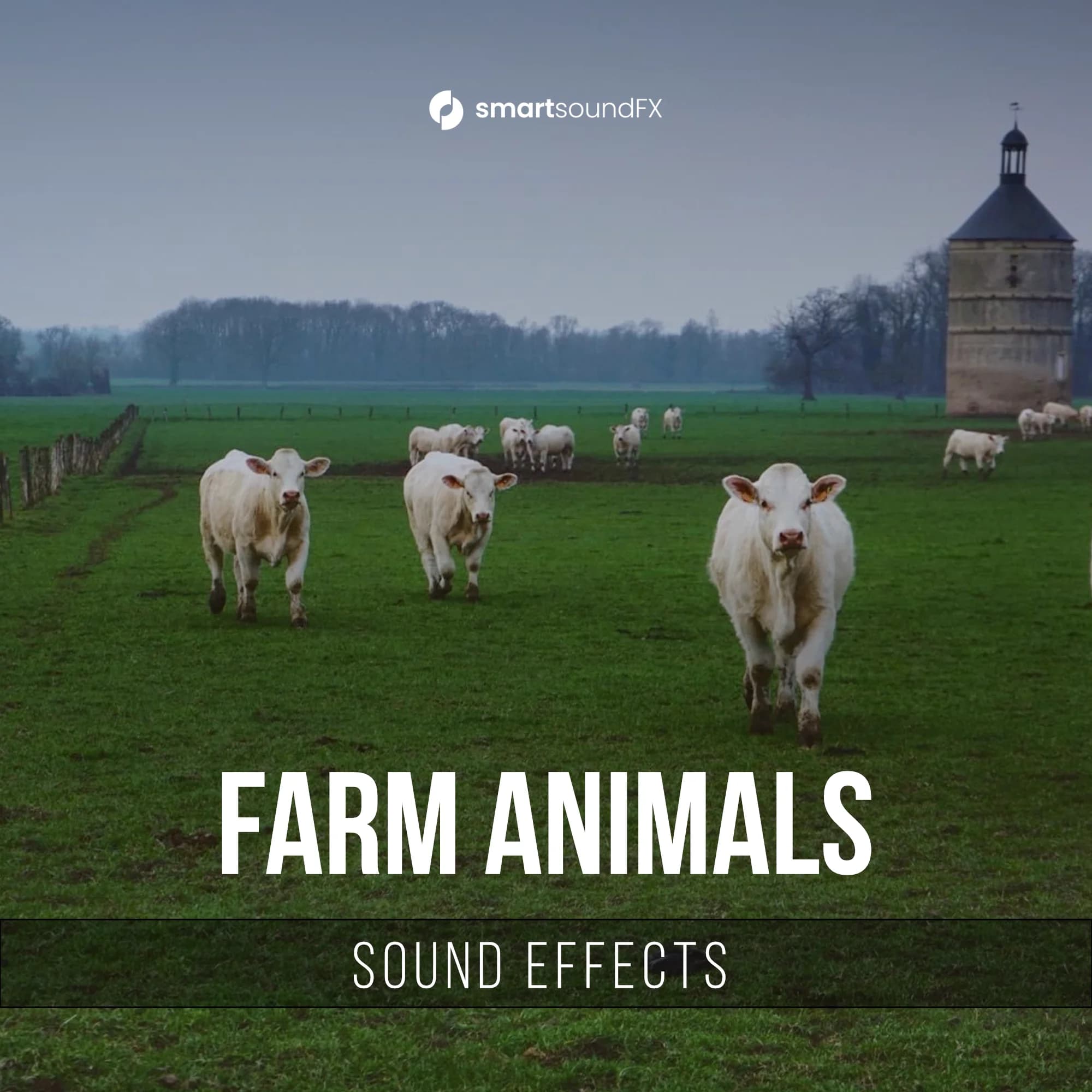 Farm Animals
