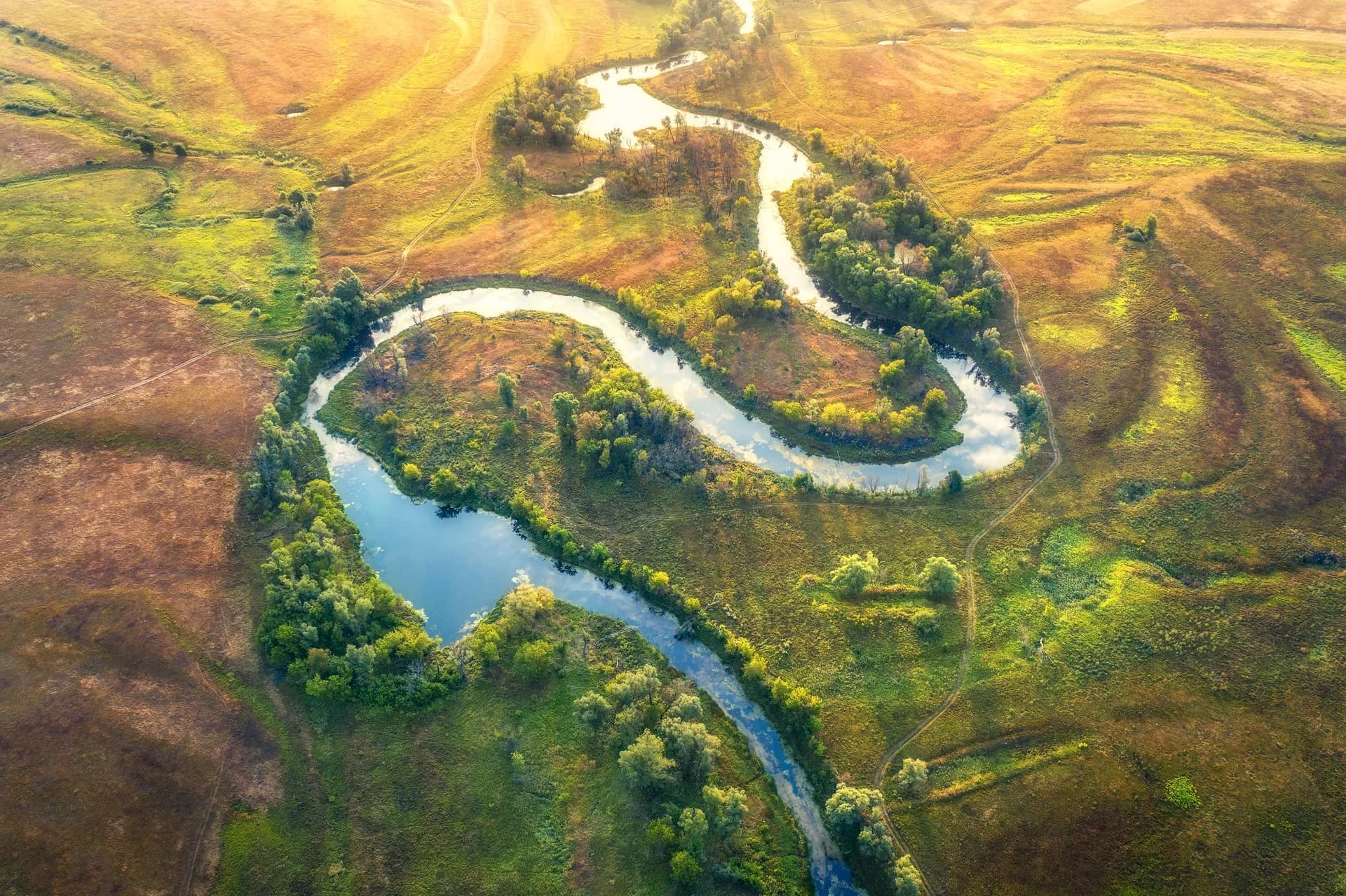NATURE BUNDLE