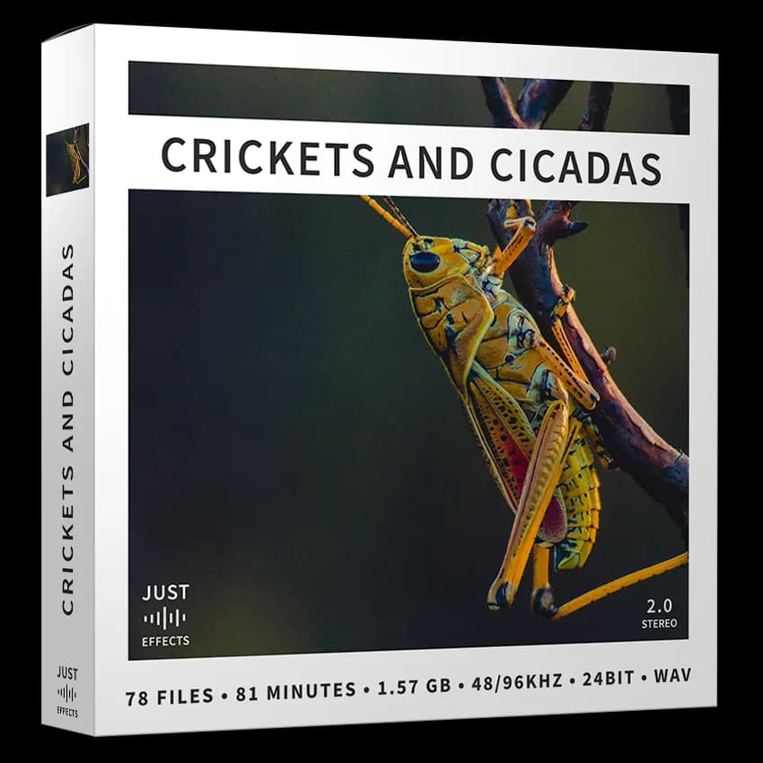 Crickets and Cicadas