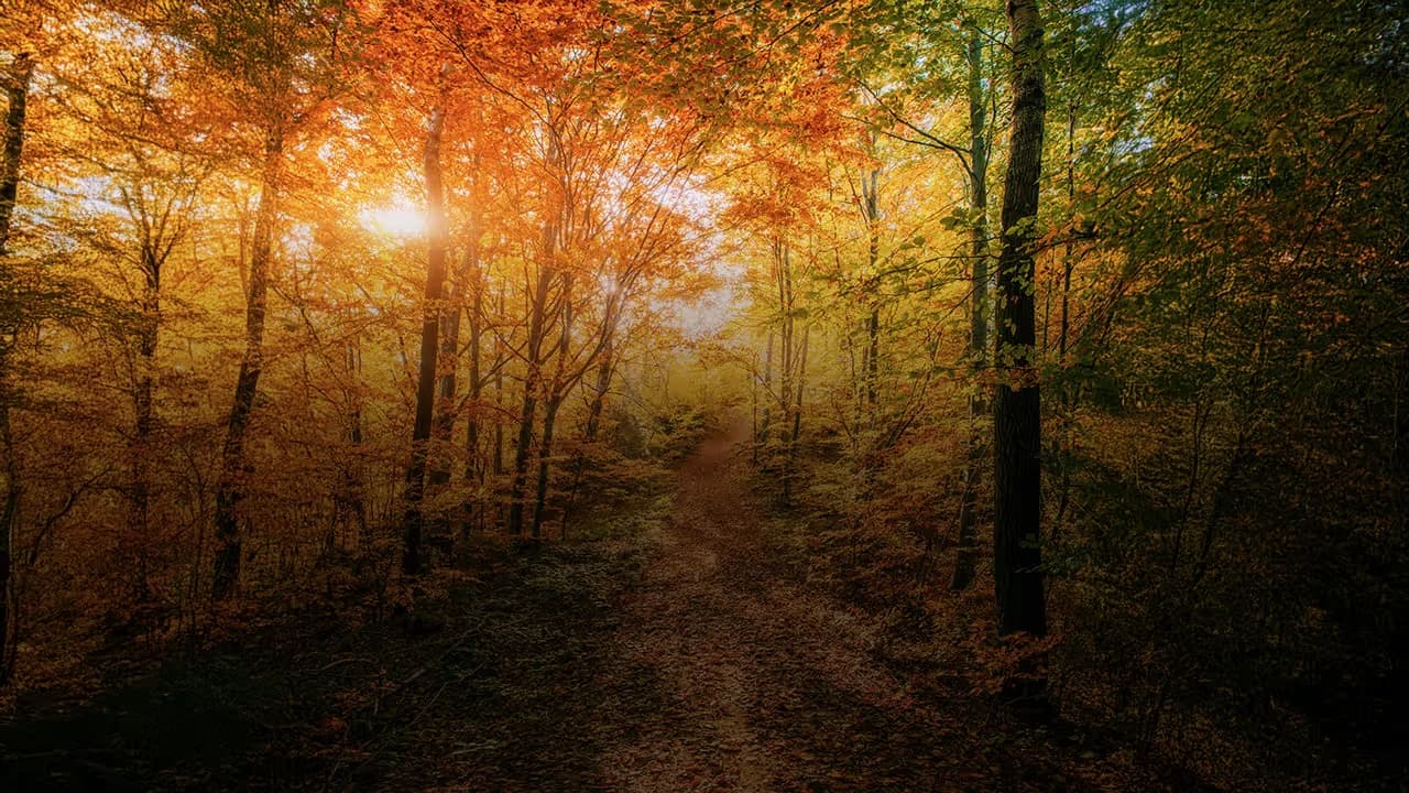 Seasons of Earth – European Autumn