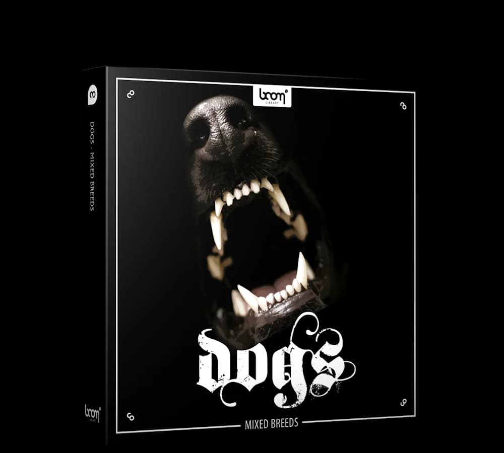 Dogs
